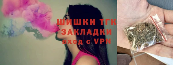 гашик Арсеньев
