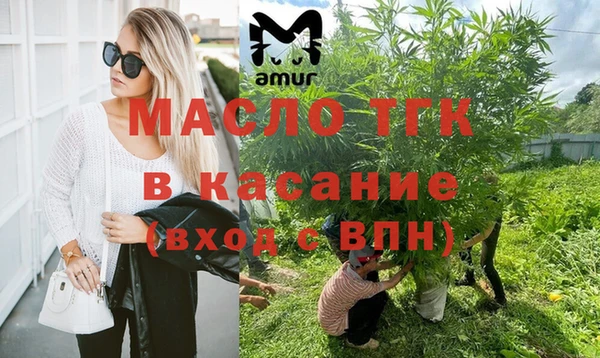 гашик Арсеньев
