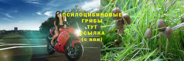 гидропоника Аркадак