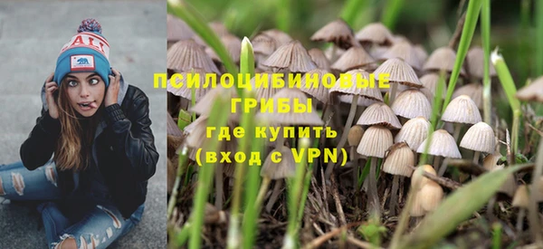 гидропоника Аркадак