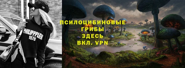 гашик Арсеньев