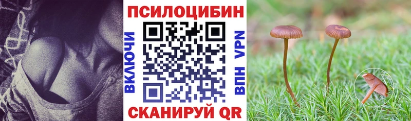 дарк нет формула Райчихинск Галлюциногенные грибы Psilocybine cubensis